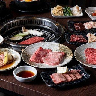 エンジョイコース《赤身とホルモンのコ-ス》～2H飲み放題付～　※御飯物はありません、お好きな食事物をお選びください