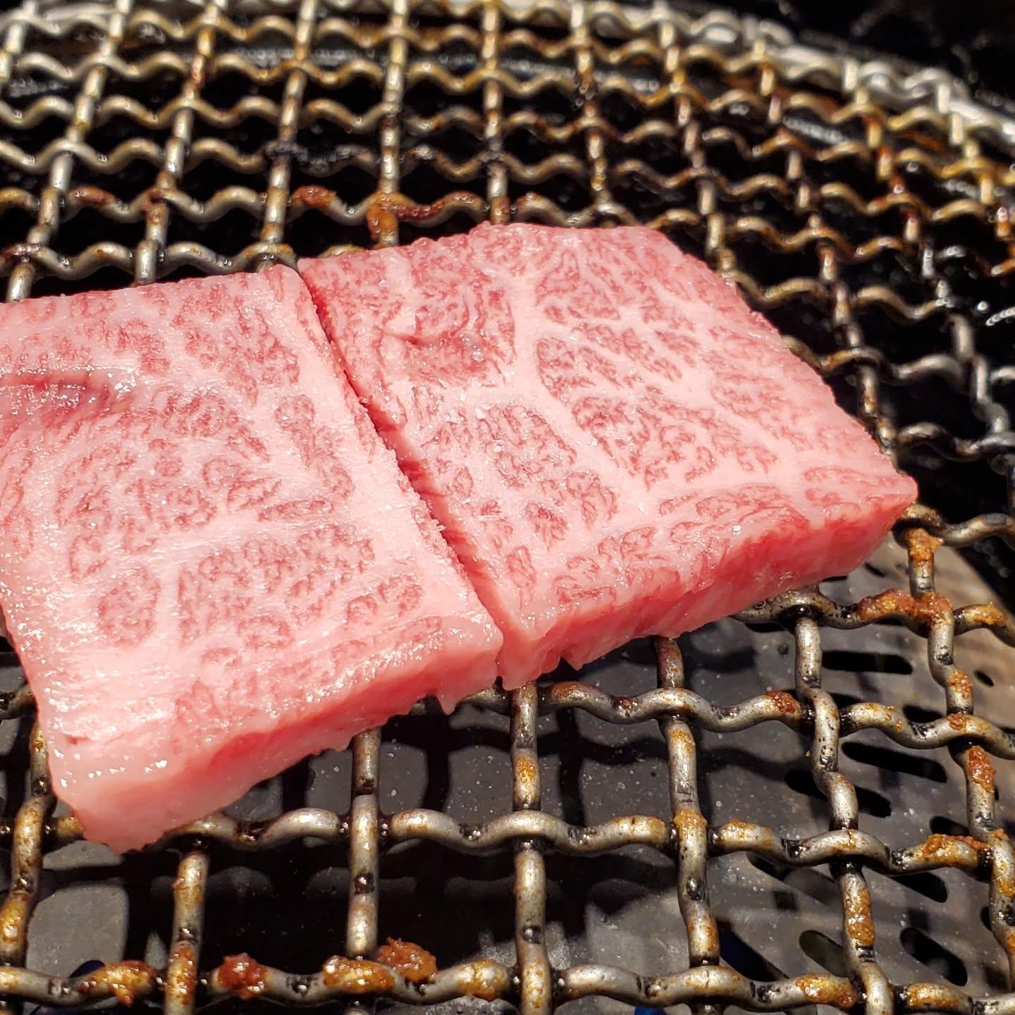 今日は焼くの？焼かないの？どっちなんだい！…焼きたいです…新宿御苑/焼肉/ホルモン/肉/新宿