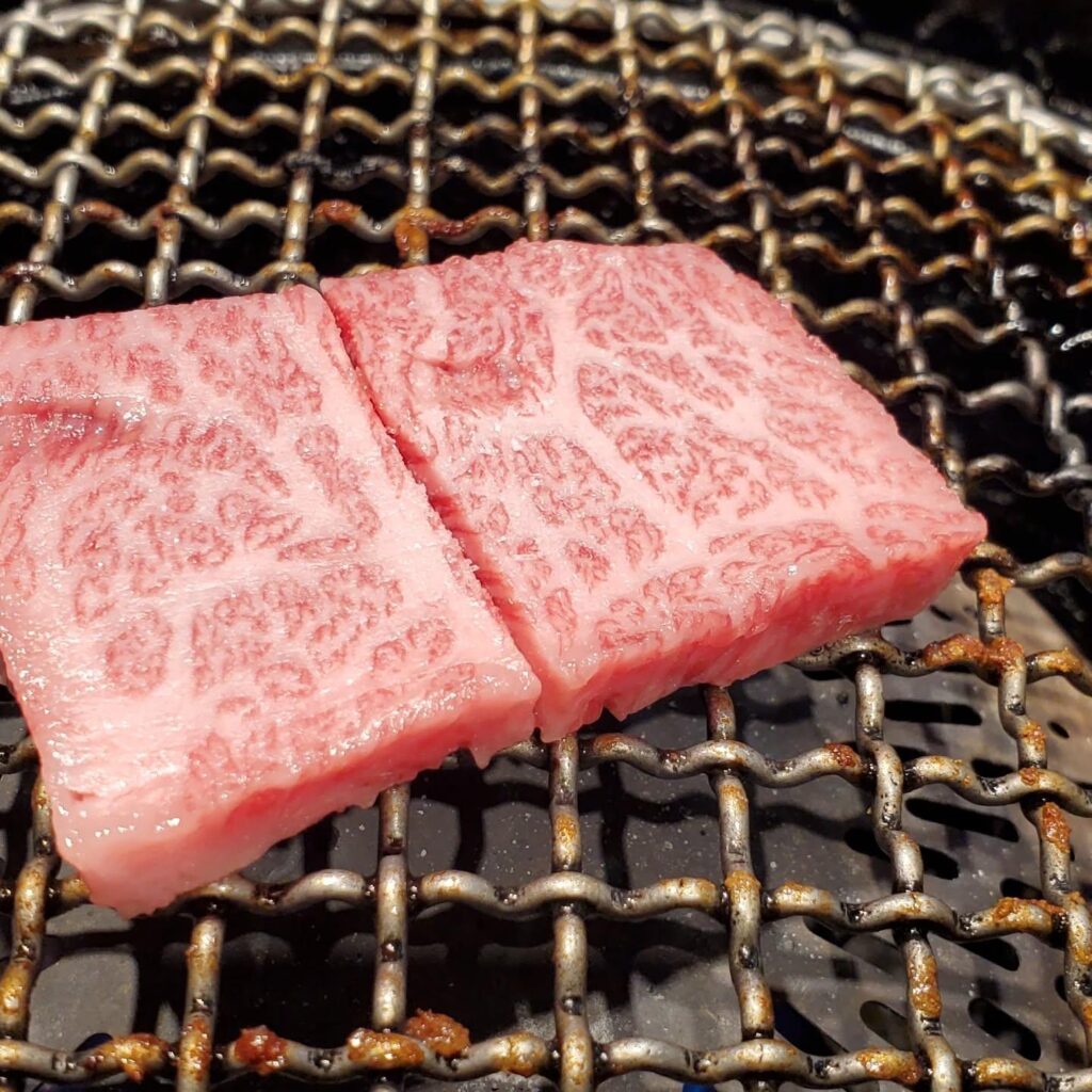 今日は焼くの？焼かないの？どっちなんだい！…焼きたいです…新宿御苑/焼肉/ホルモン/肉/新宿